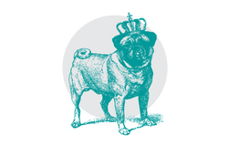 Illustration of a pug dog